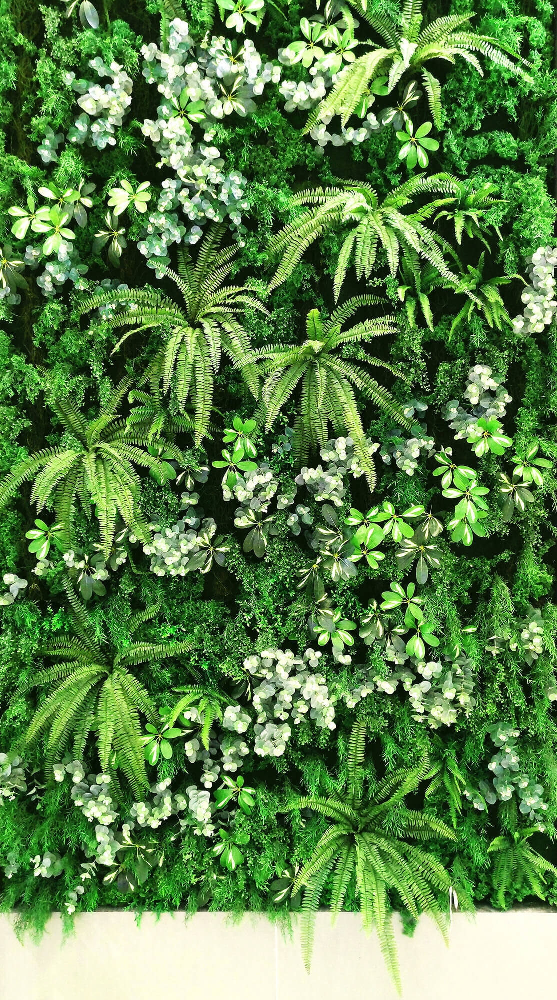 odelia_mur_vegetal